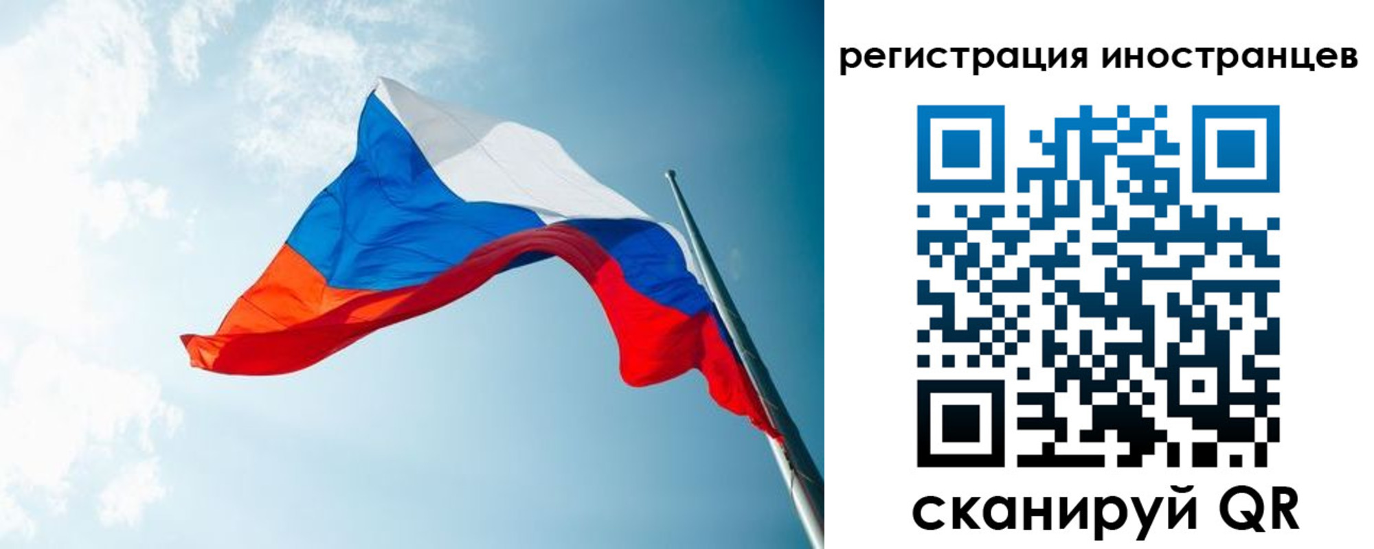 прописка для работы в Мытищах